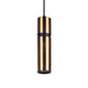 Avenue Lighting - HF1076-BBK - LED Pendant - Cicada - Smooth Brass With Black