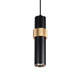 Avenue Lighting - HF1079-BKB - LED Pendant - Cicada - Black With Knurled Brass