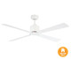 Lucci 52" Ceiling Fan (210521010)