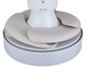 Orbit 36``Ceiling Fan (21066401)