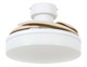 Orbit 36``Ceiling Fan (21066401)