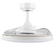 Stroll 42"Ceiling Fan (21612901)