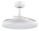 Stroll 42"Ceiling Fan (21612901)