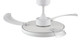 Stroll 42"Ceiling Fan (21612901)