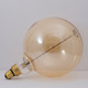 10 Light Bulb (137401)