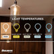 Nostalgic Light Bulb (137501)