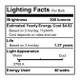 Globe Light Bulb (340040)