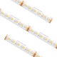 American Lighting - SPTL-RGBW - Tape Light - Spec Grade - White
