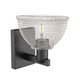 Arcadia One Light Wall Sconce (716-1W-BK-G422)