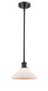 manufacturer_finish:Matte Black|manufacturer_glass:Matte White|light_output:220.00lm|color_temperature:2200K|cri:99