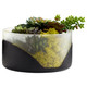 Vase (11255)