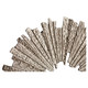 Wall Decor (11305)