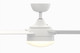 Xeno Wet 56"Ceiling Fan (FP6729BMWW)