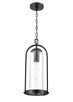 Millennium - 199801-PBK - One Light Outdoor Hanging Lantern - Luxio - Powder Coated Black