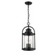 Millennium - 2544-PBK - Three Light Outdoor Hanging Lantern - Livingston - Powder Coated Black