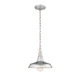 Millennium - 2952-GA - One Light Outdoor Hanging Lantern - Galvanized