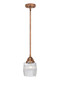 Innovations - 288-1S-AC-G302 - One Light Mini Pendant - Nouveau 2 - Antique Copper