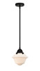 manufacturer_finish:Matte Black|manufacturer_glass:Matte White|light_output:220.00lm|color_temperature:2200K|cri:99
