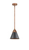 manufacturer_finish:Antique Copper|manufacturer_glass:Matte Black|light_output:220.00lm|color_temperature:2200K|cri:99