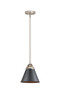 manufacturer_finish:Brushed Satin Nickel|manufacturer_glass:Matte Black|light_output:220.00lm|color_temperature:2200K|cri:99