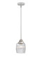 Innovations - 288-1S-PC-G302 - One Light Mini Pendant - Nouveau 2 - Polished Chrome