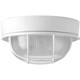 manufacturer_finish:White