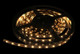 Westgate - ULR-IN-16F-HO-30K-BK - LED Ribbon - Black