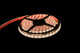 Westgate - ULR-IP54-16F-HO-35K - LED Ribbon