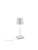 Poldina LED Table Lamp (LD0320B4)