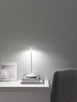 Pina LED Table Lamp (LD0650B4)