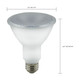 Light Bulb (S29189)