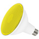 Light Bulb (S29484)