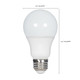 Light Bulb (S29595)