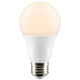 Light Bulb (S29835)