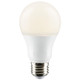 Light Bulb (S29838)