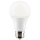Light Bulb (S29839)