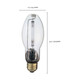 Light Bulb (S3127)