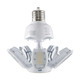Light Bulb (S39751)