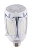 Light Bulb (S39752)
