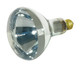 Light Bulb (S4366)