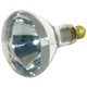 Light Bulb (S4366)