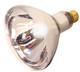 Satco - S4750 - Light Bulb - Clear Heat
