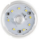 Light Bulb (S49390)
