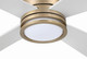 Rhett 52" In/Outdoor Fan Damp Rated 52" Ceiling Fan (RHT52SB4)