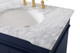 Wesley Bathroom Vanity Set (VF50072DBL)