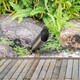 Aera Landscape Spot Light (C050) Aera Landscape Spot Light (C050)