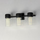 Dram LED Bath Sconce (E30193-93BK)