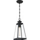 Paxton One Light Mini Pendant (PAX1507MBK)