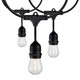 Satco - S8037 - LED String Light - Black