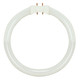 Satco - S8155 - Light Bulb - White